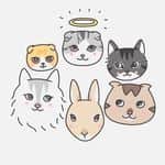 bunny & 2 cats Instagram