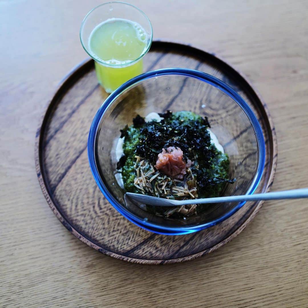 高山都さんのインスタグラム写真 - (高山都Instagram)「夏のひとり飯の定番、豆腐のっけた玄米、今日はきざみめかぶとなめ茸、韓国海苔と