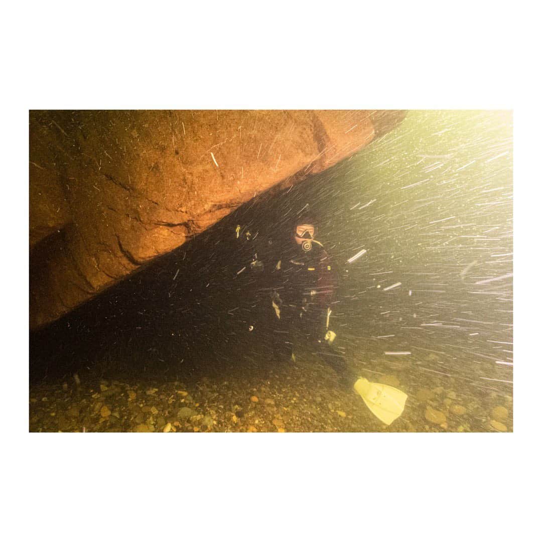 木村文乃さんのインスタグラム写真 - (木村文乃Instagram)「*** 先日女川に潜りに行こうとしたものの その時は台風の影響で クローズになってしまったんです。 それなら山に登って川に潜りましょう！ と、#栗駒山 登山 と #秋保大滝 & #秋保温泉 を楽しむ旅 になったのですが  海と川はこんなに違うのか！ という景色、浮力、流れの違いに かなりアドレナリンが出ました。  潜っていたらお日様が出て 光が差してくれたこともあって 川の中から見上げる滝は とても神秘的な色をしていました🤭  #宮城県 #仙台 #女川町 #宮城ダイビングサービスハイブリッジ  (@highbridge1 )」8月12日 6時36分 - uminokimura_official