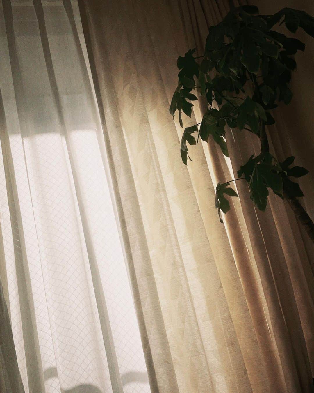 木下優樹菜さんのインスタグラム写真 - (木下優樹菜Instagram)「🌦」1月24日 14時46分 - yukina1204xoxo