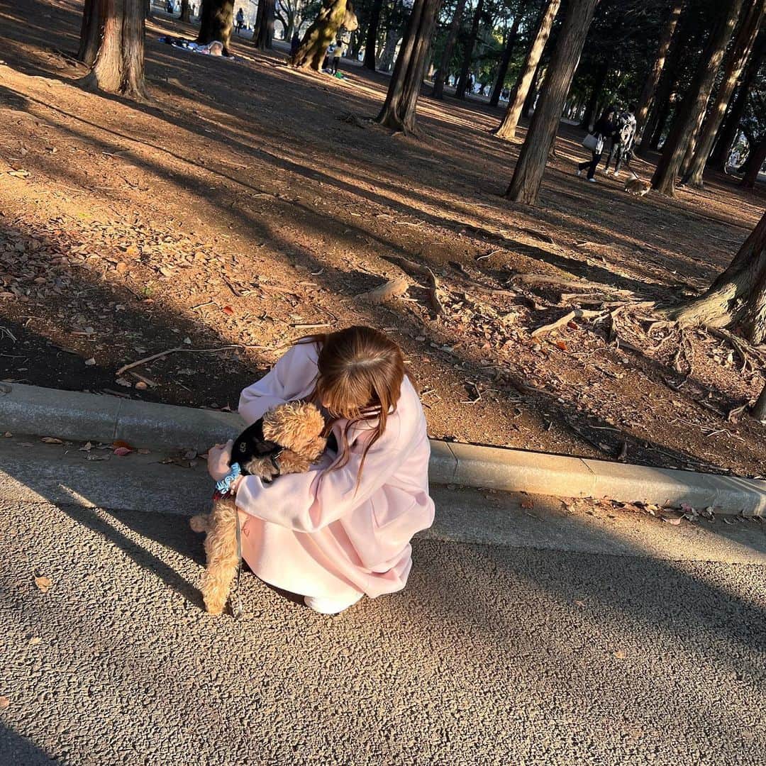 美香さんのインスタグラム写真 - (美香Instagram)「親愛なるヨンandかおりちゃんとお花見🌸🌸🌸 お散歩に出かけても抱っこ抱っこで甘えん坊のtiaが 今日はびっくりするくらいらい楽しそうに走っていて嬉しかったです。tia🐶新しい世界を見れて良かったね！！ ママはじーんとして泣きそうだよ☺️ @youn1029  @isekikaori_kimawashi」3月19日 23時56分 - mikaofficial99