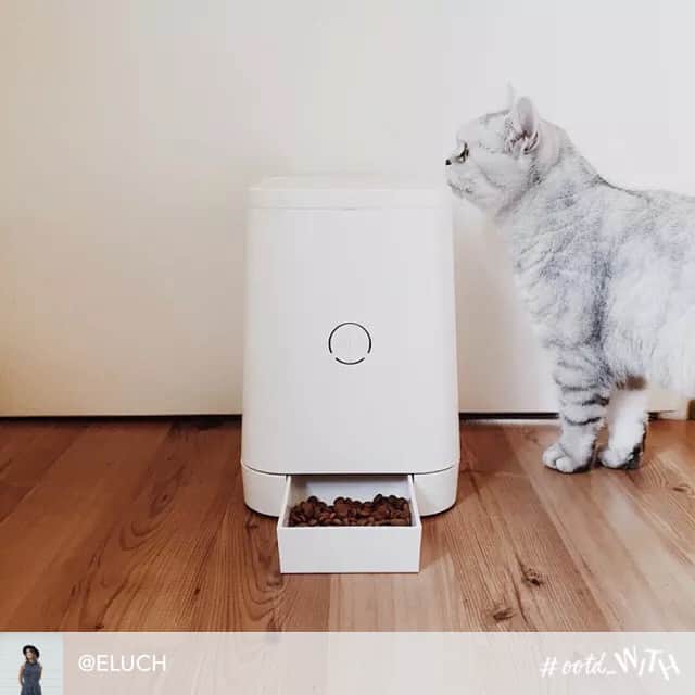 PETLYのインスタグラム：「#regram @eluch #via @ootd_WITH: Thanks @petly_jp for lovely Christmas gift! My cats love this automatic feeder! 😻❤️😽」