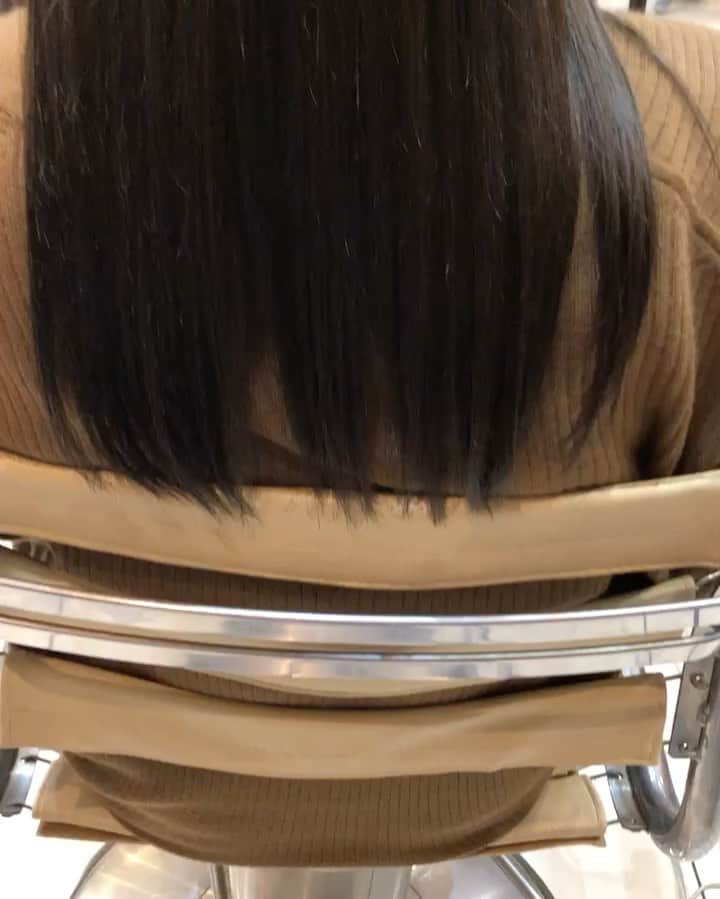 沢すみれのインスタグラム：「たつま(@cupola_tatsuma )(@cupola_omotesando )さん に出会う前と出会った後で私の髪が変わった🤺 #表参道 #美容院 #表参道美容院 #トリートメント」