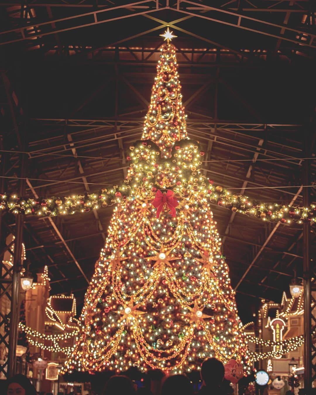 Kahoさんのインスタグラム写真 Kahoinstagram こんなにクリスマスの写真載せてて 意外と載せてなかった真正面からの写真 ストーリーに壁紙としてのせたからよかったら見てね Disney Disneyland Tokyodisneyresort Tds Tdl