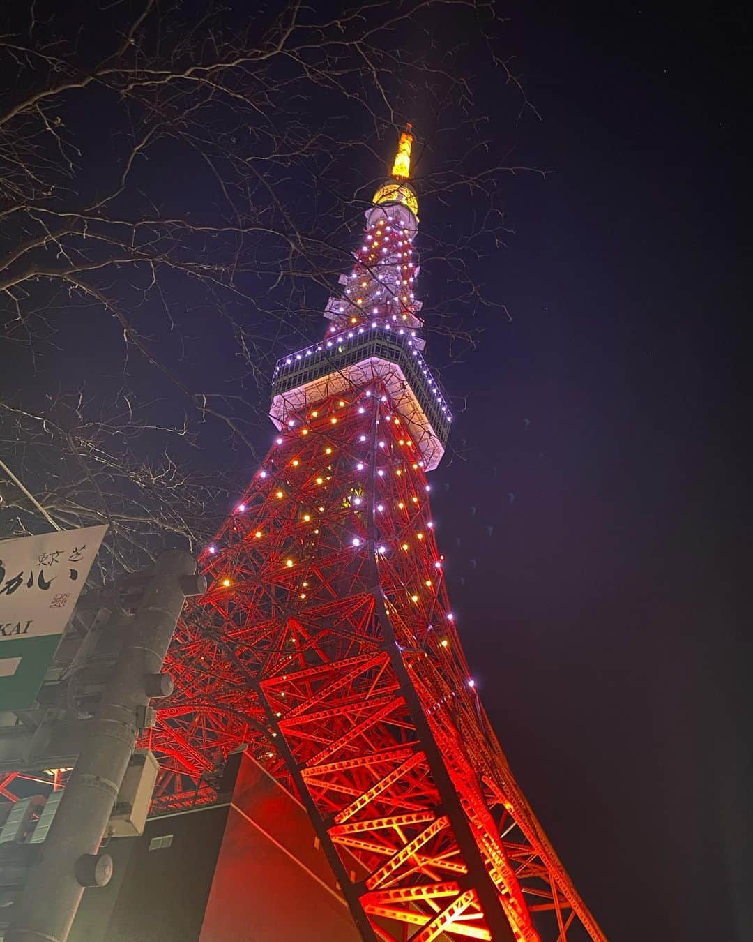 若林理紗のインスタグラム：「元日の東京タワー🗼﻿ ﻿ 今日、なぜか東京タワーの投稿をしている人が﻿ 多い気がして、ふと思い出しました。﻿ ﻿ 写真2枚目〜は、﻿ 12月23日に開業61年目を迎えた東京タワーで﻿ 開催されたイベントに父と参加させていただいた﻿ 時のものです👨‍👧﻿ ﻿ 東京タワーが皇族方と紡いだ歴史の展示も。﻿ 今上天皇が幼少期に使われていた﻿ ファミリアの籠バッグも展示されていました✨﻿ ﻿ 眺めていると﻿ なぜか心落ち着く東京タワー。﻿ ﻿ なぜなのでしょう。﻿ ﻿ ﻿ #東京タワー  #tokyotower  #61年目 もよろしくお願いします #父娘デート」
