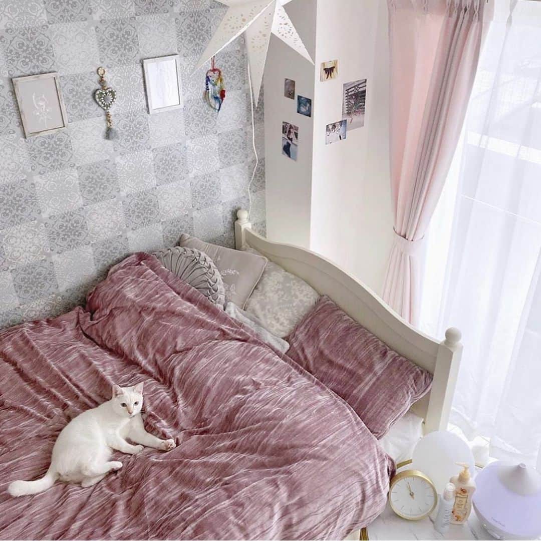 ピュアラモ オフィシャルさんのインスタグラム写真 ピュアラモ オフィシャルinstagram 猫がいる生活 Asamichan さんのお部屋 ベッドルームもかわいい お部屋 おしゃれさんと繋がりたい おしゃれ女子 マイルーム お洒落さんと繋がりたい