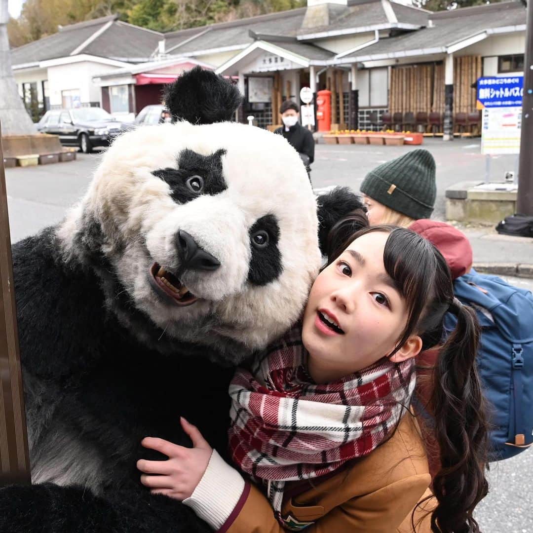 星星 セイセイ さんのインスタグラム写真 星星 セイセイ Instagram ちらり じーっ Lineスタンプのポーズ 星星 パンダ Panda Pandagram パンダ好きな人と繋がりたい Zip 3月8日 17時50分 Seisei Panda
