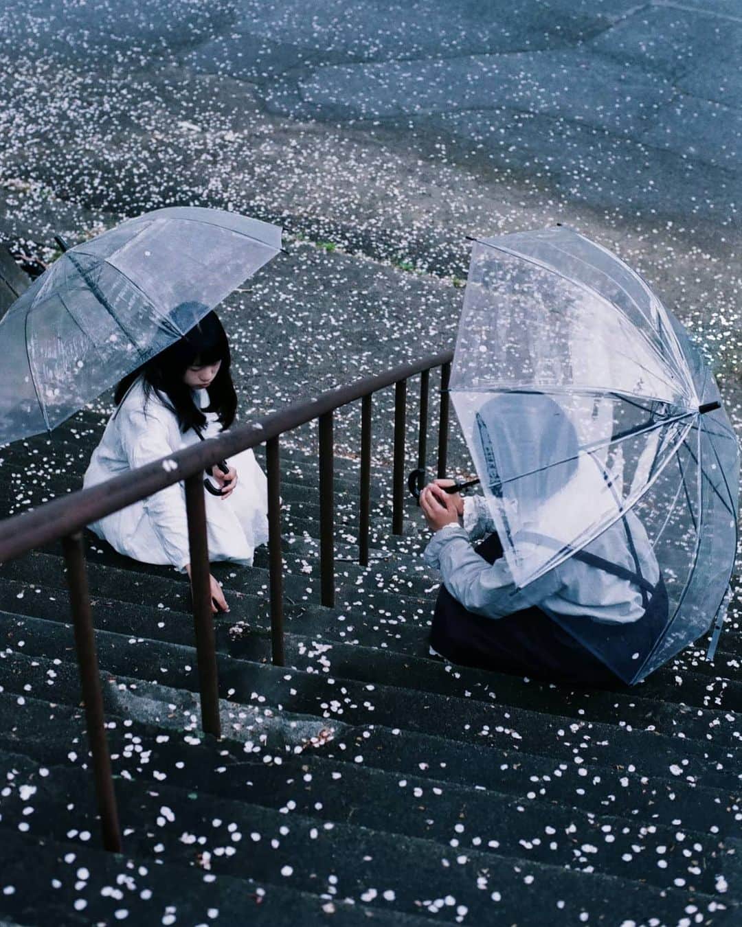 岩倉しおりさんのインスタグラム写真 岩倉しおりinstagram 桜雨 階段に散った
