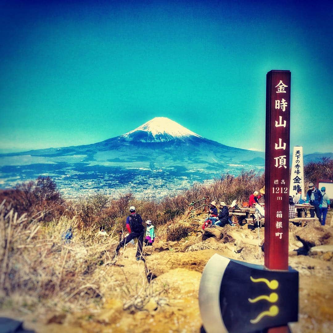 長島慎治のインスタグラム：「富士山！ #金時山」