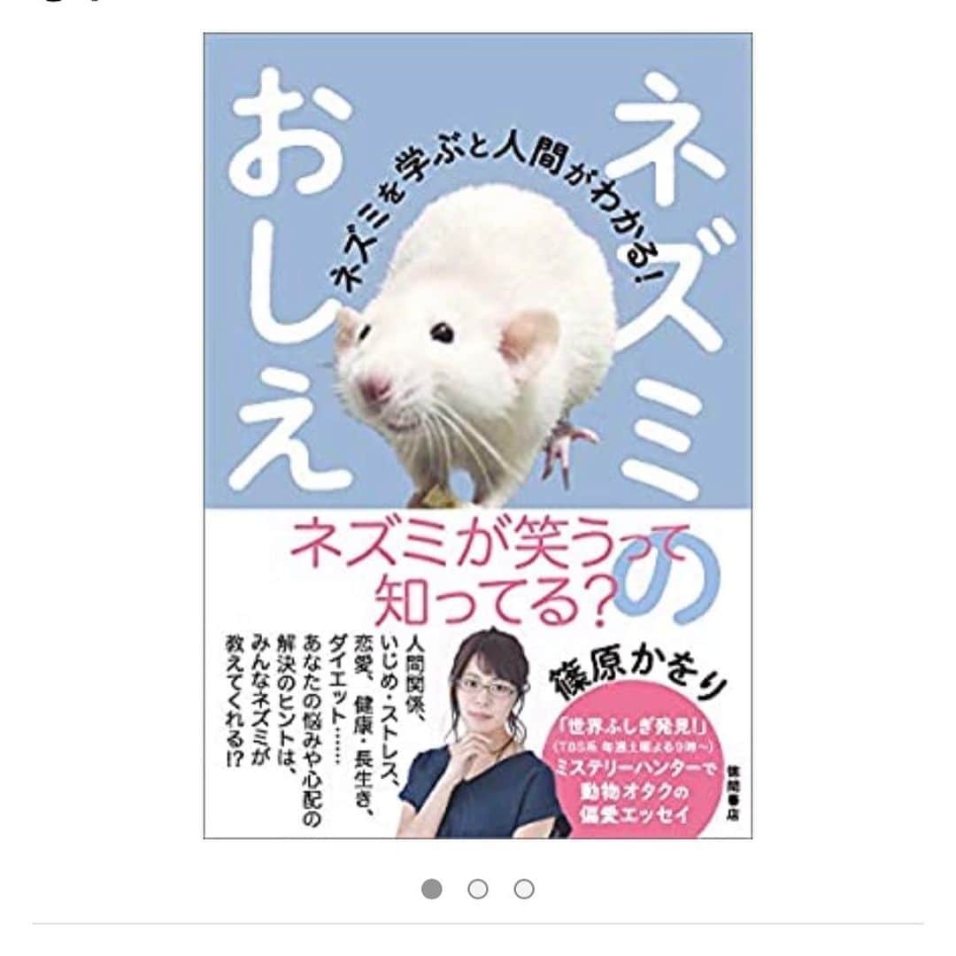 篠原かをりのインスタグラム：「新著『ネズミのおしえ　ネズミを学ぶと人間が分かる！』が4/24に刊行されます！ ネズミへの愛だけで出来上がった本です！ 表紙がめちゃくちゃ可愛いです(うちのネズミ) どうぞよろしくお願いします!  https://www.amazon.co.jp/dp/4198650608  #出版　#新作　#ネズミ　#ファンシーラット #徳間書店」