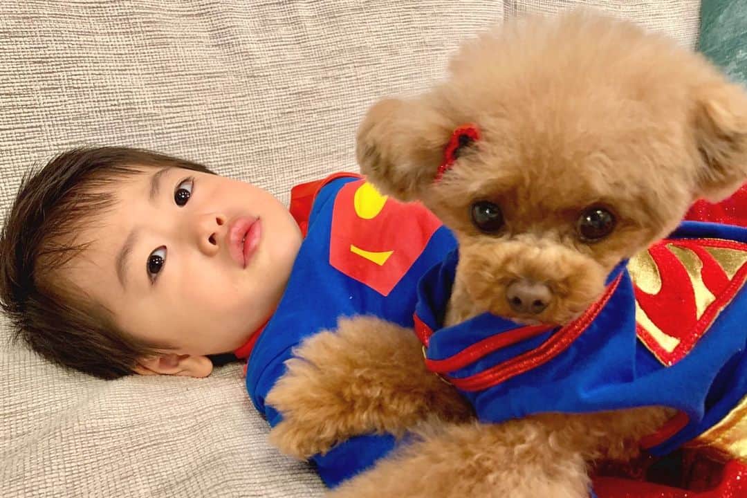 ? Tia ?のインスタグラム：「SUPER MAN＆SUPER DOG‼️‼️ スーパーマンごっこ遊びが1番のお気に入り👦🏻💓 #superman #superman💪 #supermanfan #supermancosplay #supermancostume #superdog #superdog_world #supergirl #supergirlcosplay #スーパーマン #dogandchild #dogandkids #superkid #ママリ #コドモノ #myson #おうち時間 #スーパーヒーロー #superhero #lovemyfamily #lovemydog #cute #cutedog #cutest #instahero #dogmylove #toypoodle #toypoodlesofinstagram」