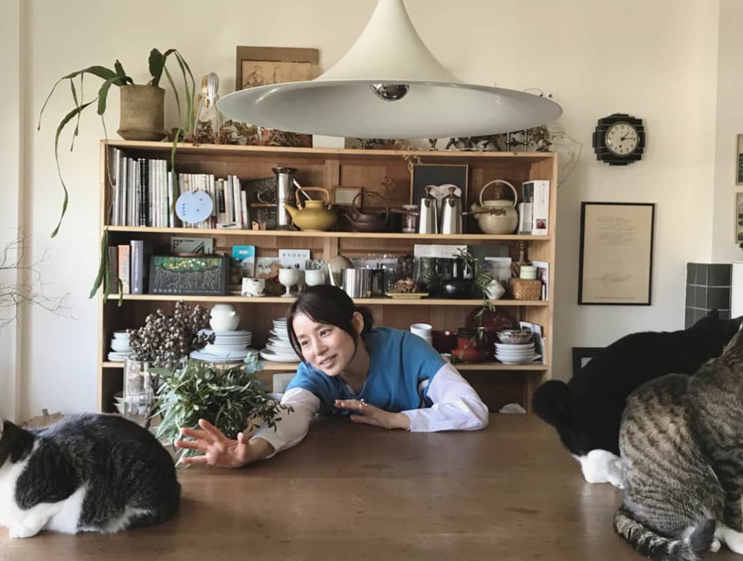 石田ゆり子さんのインスタグラム写真 石田ゆり子instagram インテリアスタイリストの石井佳苗さんのおうちにおじゃました 憧れのかわいいおうちと 3匹の猫たち なかなか相手にしてもらえないわたくし 連写でどうぞ 11月3日 14時48分 Yuriyuri1003