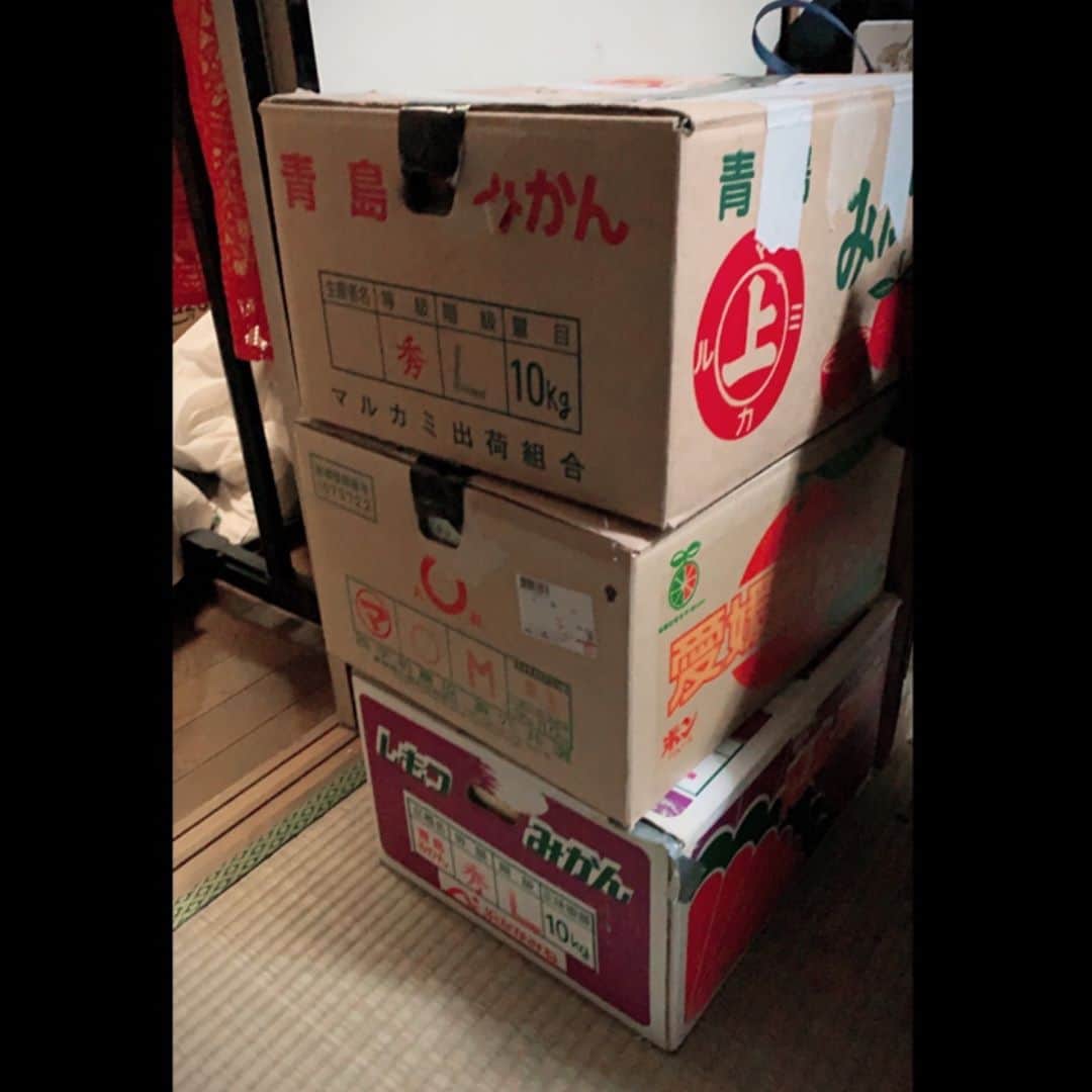 中野聡子（日本エレキテル連合）のインスタグラム：「なんでもないダンボール箱に胸が締め付けられることがあります。 #ダンボールばこ #望郷 #みかん #ノスタルジック」