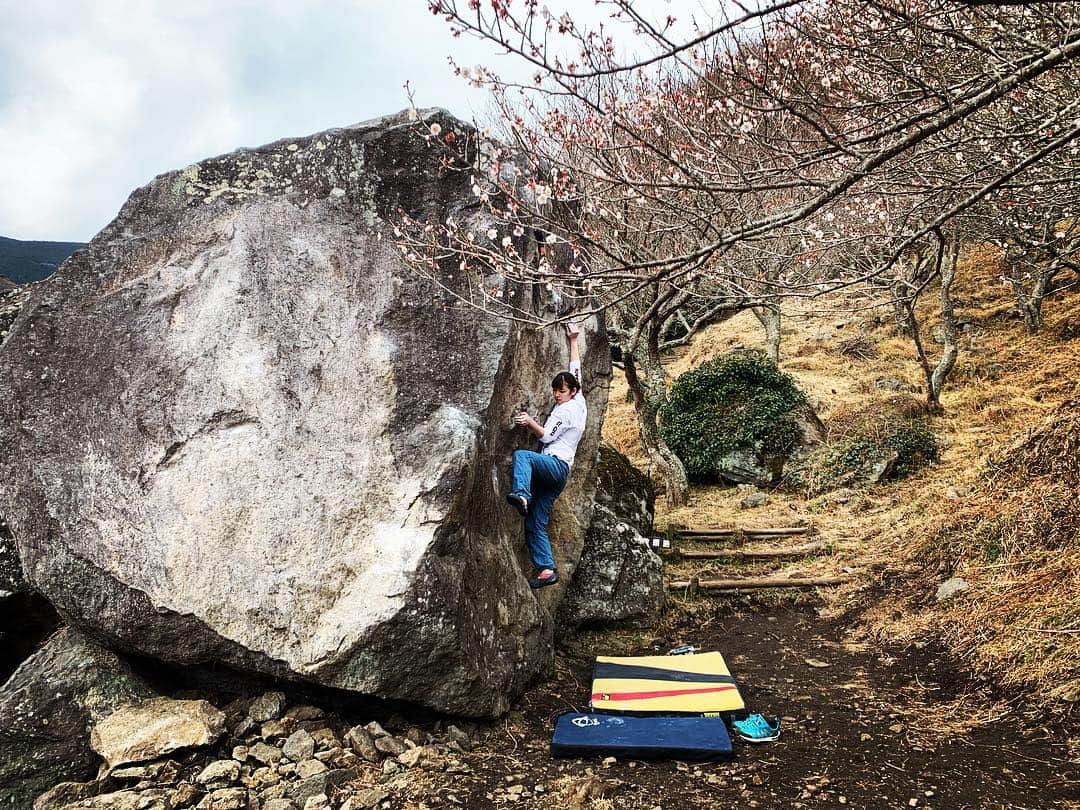 金子桃華のインスタグラム：「・ リョーマくんの📸センスが 神ってたやつ🙆‍♀️🙆‍♀️ #climbing  #bouldering  #湯河原」