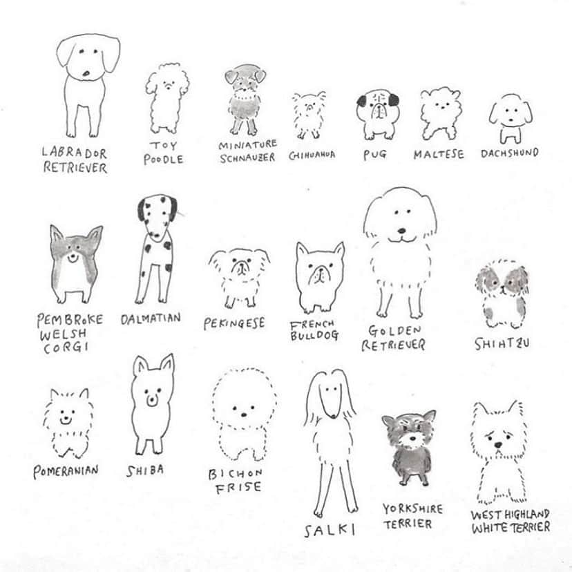 ハルペイさんのインスタグラム写真 ハルペイinstagram 今日は愛犬の日なんだよ まるちゃんに帰ったらおやつあげよ 愛犬の日 まるちゃん ミックス犬 マルックス 保護犬 Harupei Doodle Draw Drawing Illustrator Illustration Japan 絵 雑貨 湘南