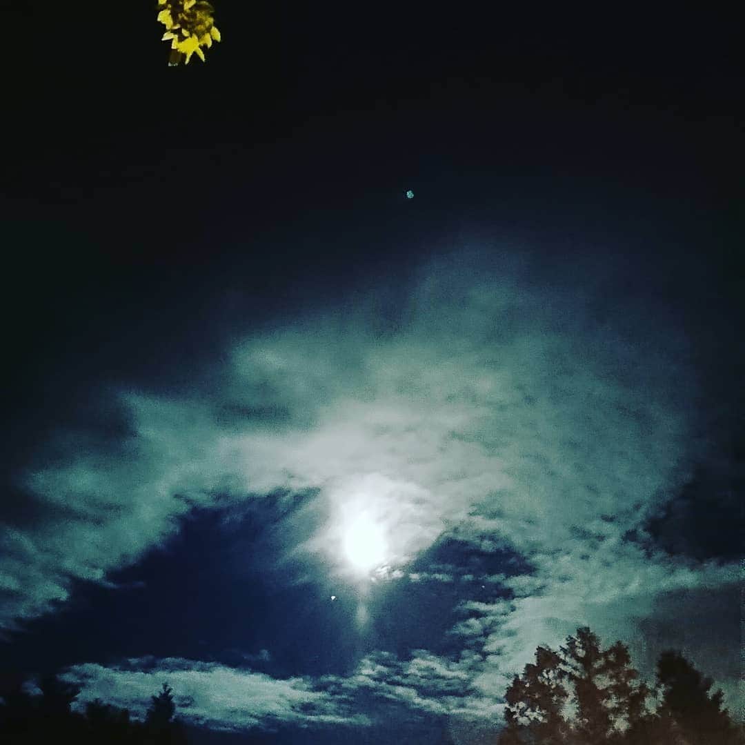 西山茉希さんのインスタグラム写真 西山茉希instagram 待ち受けにしました 待ち受けってまだ言っていいの ロック画面 ホーム画面 満月 6月17日 ストロベリームーンと呼ぶらしき月 太陽が好きだけど 太陽みたいにはなれず 星が好きで 星みたいになり