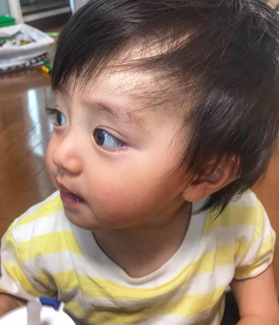 日下部ゆいこさんのインスタグラム写真 日下部ゆいこinstagram 赤ちゃんから男の子に なってきたなぁ それにしても まつ毛が長い男子 息子 男の子 男の子ママ ママ 1歳 7月10日 17時55分 Yuiko Kusakabe