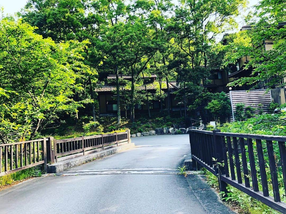 有福温泉 旅館ぬしやのインスタグラム：「新緑が眩しい季節になりました。 四季折々のぬしやを楽しんで頂けたら嬉しいです。  #有福温泉#旅館ぬしや#島根の旅館#老舗旅館」