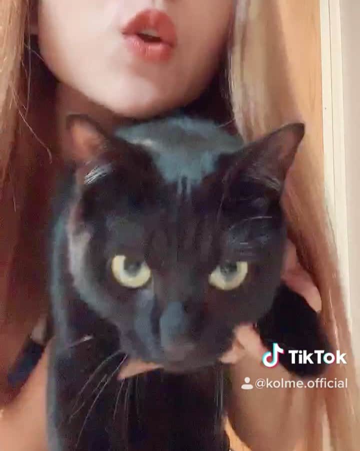 callmeのインスタグラム：「. TikTok更新🍣 . . . #tiktokjapan#cat#catlover#cute#blackcat#foryou#fyp#猫のいる暮らし#ねこすたぐらむ#かわいい#黒猫」