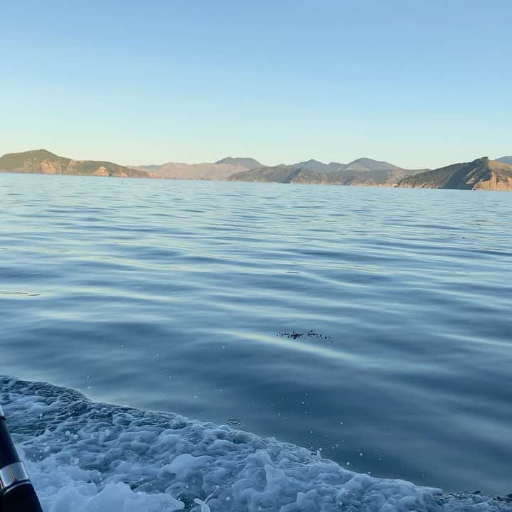 トンプソンルークのインスタグラム：「Great day on the water. New Zealand is an amazing place.」
