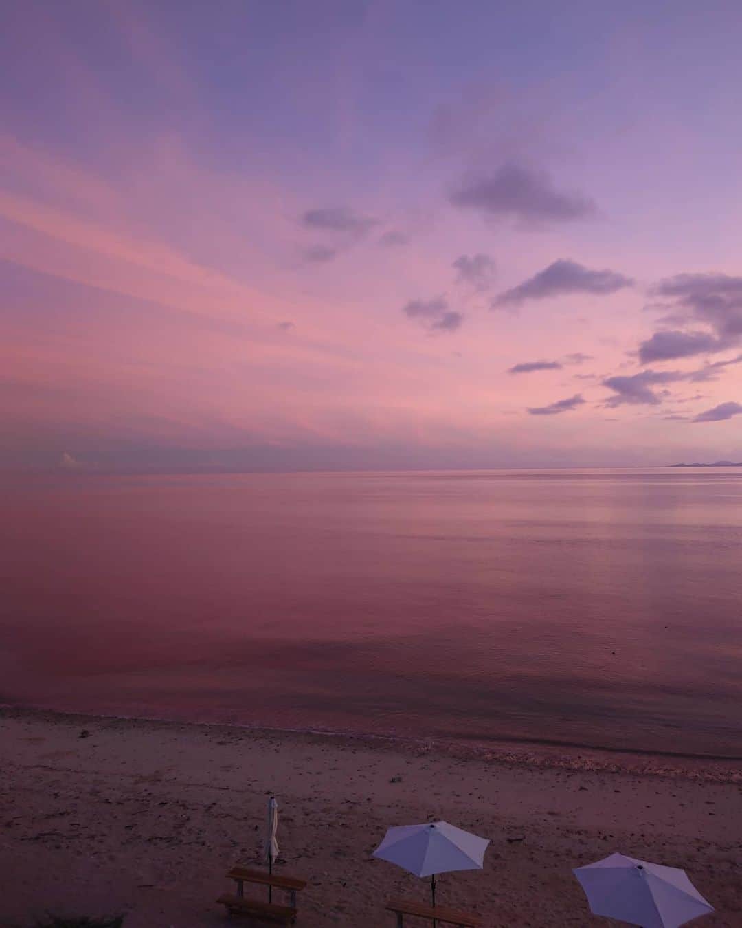 平アスカさんのインスタグラム写真 平アスカinstagram ピンクの海 早起きして