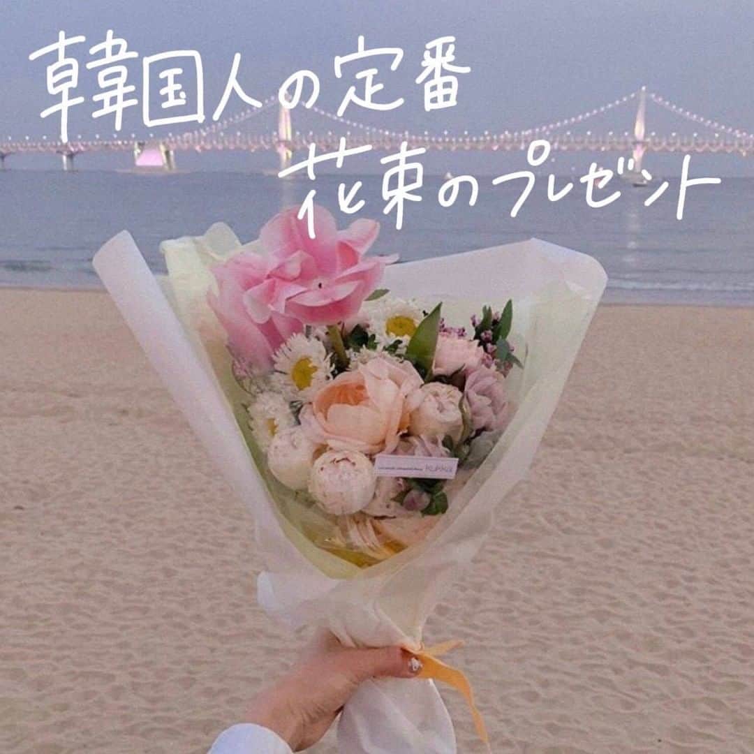 ハルハルさんのインスタグラム写真 ハルハルinstagram 韓国では定番 家族やカップルへのプレゼントと言えば 𓆸 あんにょん のぼりんです 日本では卒業シーズンや送別会などお別れのタイミングでよくプレゼントされる花束 渡すことって頻繁には