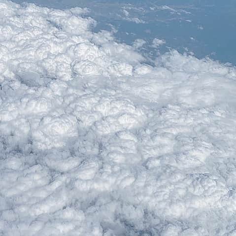朽木若菜のインスタグラム：「飛行機からみた雲、おいしそう☁️」