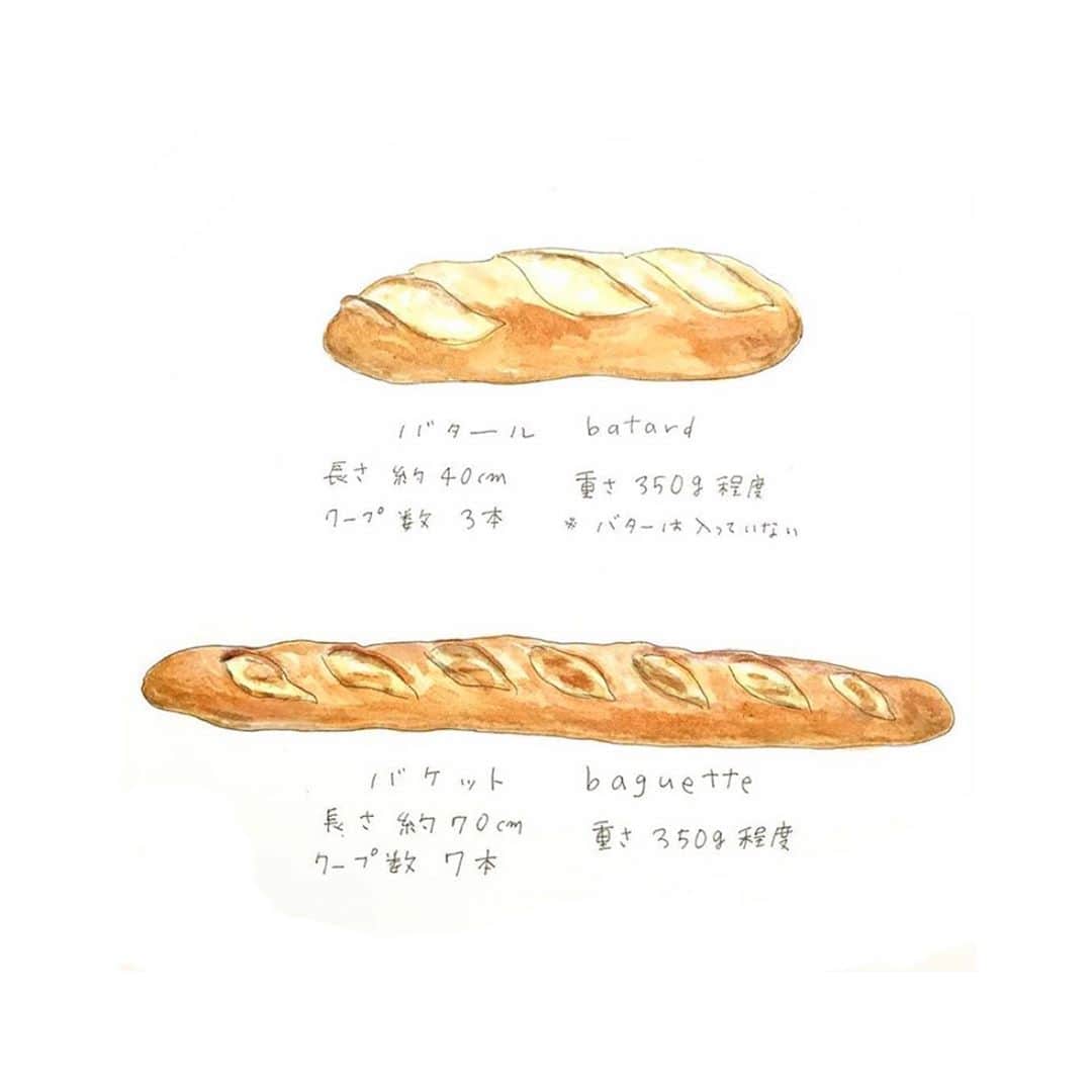 ハルペイさんのインスタグラム写真 ハルペイinstagram 久しぶりにフランスパン買った パリパリで美味しかった フランス パン バケット バタール Mokichi Bread Baguette パン パンが好き 食べ物イラスト Harupei ハルペイ Doodle Draw Drawing