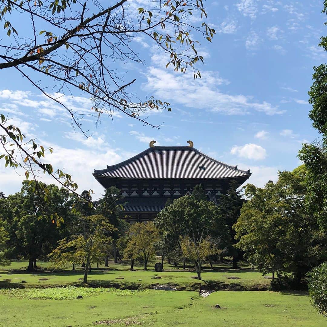 藤沢久美さんのインスタグラム写真 藤沢久美instagram 東大寺大仏殿 裏からみた 奈良