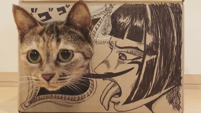 ピーちゃん＆ニャーさんのインスタグラム：「顔ハメつくったよー😸 #猫の奇妙な冒険」