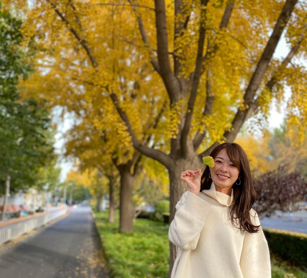 石沢綾子のインスタグラム：「【Instagram始めます】   元HTBアナウンサーの石沢綾子です。 番組を卒業して2ヶ月、本格的に北京での生活が始まりました🙌🏻 　 2週間の隔離や新生活の手続きなど初めての体験に、驚きと発見の毎日です👀 　 そんな北京暮らしのあれこれを、 ちょこちょこと、マイペースに、 でもできるだけコンスタントに(自分に発破) 投稿していければと思っています🐼 　 改めて、こちらでも、 どうぞよろしくお願いします☺️✨ 　 #北京生活  #beijinglife  #銀杏並木 #アナウンサー #石沢綾子 #これ投稿するのに1時間以上 #インスタむずかし」