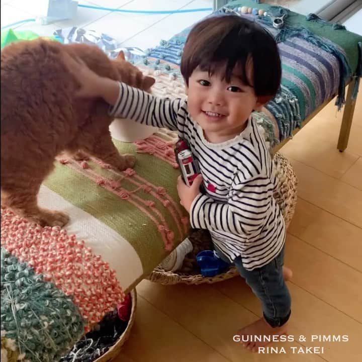 ギネス & ピムスのインスタグラム：「03/11/2020 Happy Tuesday! ・ Today, Nagi is 1 year and 11 months old, and with only one month left, he will finally turn 2 years old👦🏻 With new words that he’s learning, Nagi is day by day growing up fast. ・ The video is a collection of brother Pimms’ and Nagi’s best most recent scenes, including lots of stroking and planting his face into Pimms’ soft fur. The last is in Japanese, but he recommends Pimms’ cat food as being "delicious! (oishii)" Lol. ・ May you safely reach the age of two, my dear boy. Have a great day everyone! ・ ・ 凪ねこ 今日で1歳11ヶ月になりました。 2歳まで残すところあと1ヶ月。 あっという間に大きくなってしまい 嬉しいしちょっと寂しい気分。 ここ最近は毎日新しい言葉を発したり成長が目まぐるしい！ 猫になるはずがどんどん人間になっていく凪ねこ。 当の本人は猫も人間も同じなのかもしれないけど😂 記念に恒例ではありますが、 最近のピム丸大好き動画集をpost。 最後はストーリーで好評だった ピム丸にキャットフードを「おいしいよ！」と勧める凪ねこ。笑 おいおい食べたのか？ 確かに一度口にした事はあったけど🤫 写真はハロウィン用に撮ったもの。 postする機会を逃したのでついでに。笑 とりあえず これからも健康に 毎日楽しく過ごしておくれ！ ・ ・ #ギネピムと凪くん  #1yearold #1歳 #1歳11ヶ月  #babyboy #男の子ベビー #赤ちゃんのいる生活 #赤ちゃんのいる暮らし #赤ちゃんと猫 #猫と赤ちゃん」