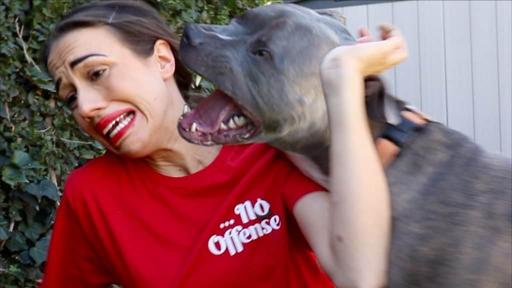 ミランダ・シングスのインスタグラム：「scary dog ATTACKED me in my new video. go wach. link in bio」