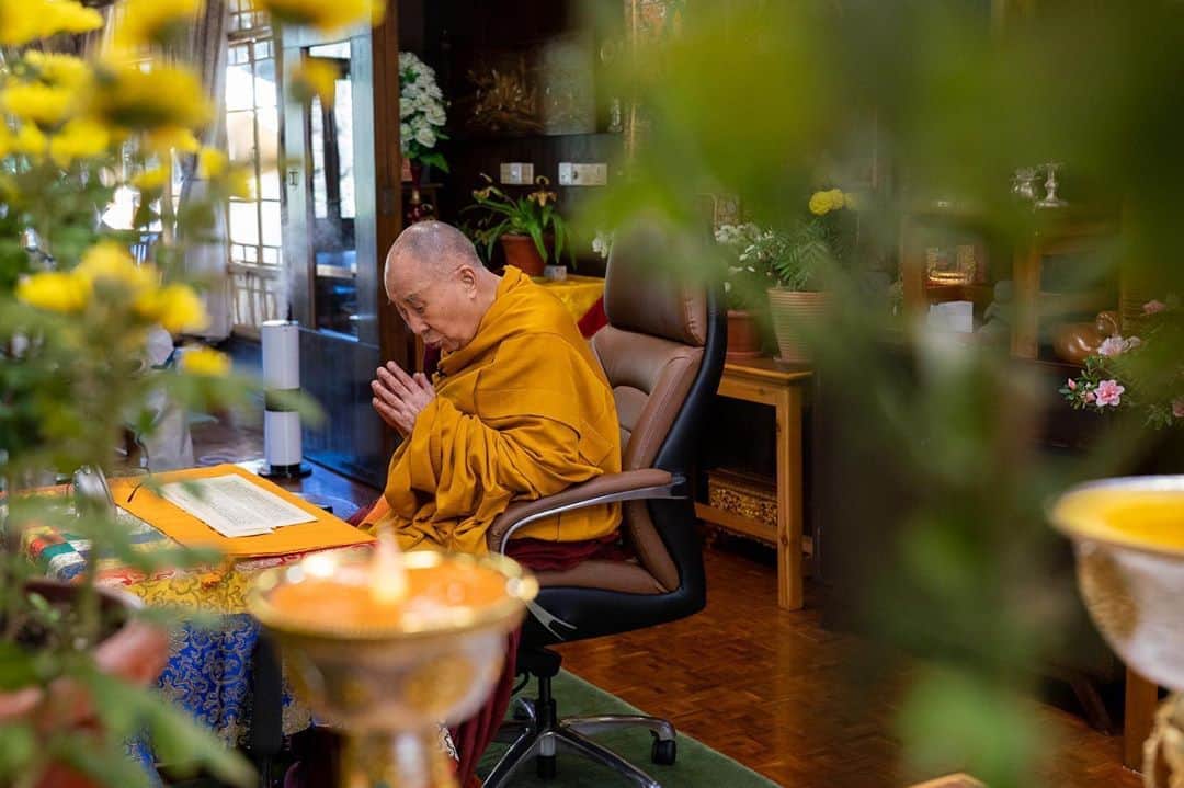 ダライ・ラマ14世のインスタグラム：「HHDL reading from the text on the second of his virtual teachings requested by Russian Buddhists from his residence in Dharamsala, HP, India on November 6, 2020. Photo by Ven Tenzin Jamphel #dalailama」