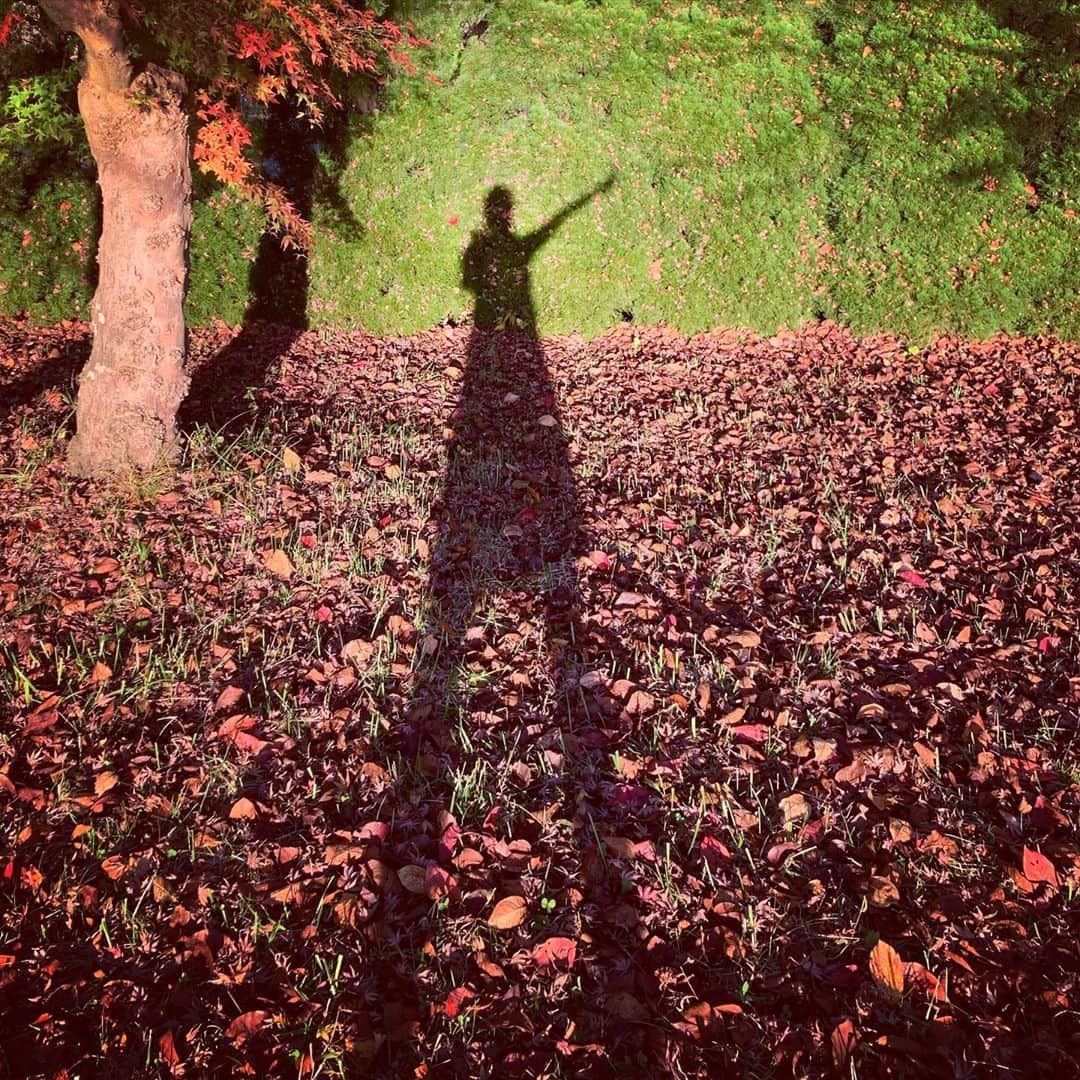 松田美由紀さんのインスタグラム写真 - (松田美由紀Instagram)「長くなった私（笑）」11月9日 22時00分 - matsudamiyuki
