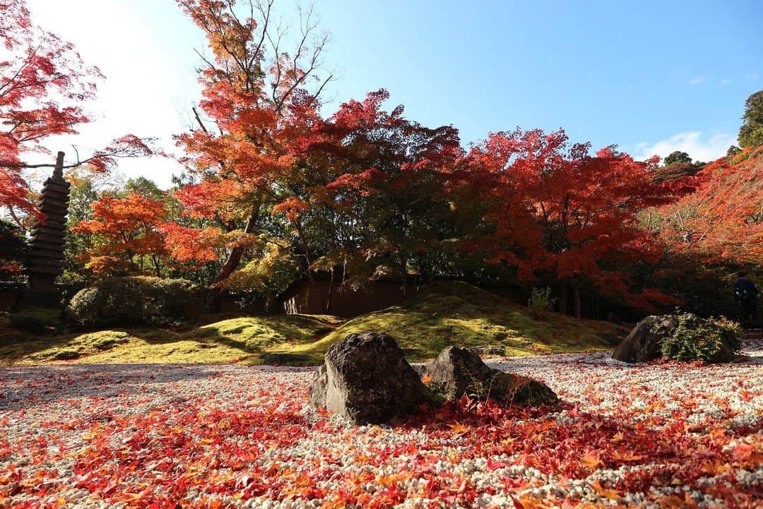 三浦絵里菜のインスタグラム：「11月13日　午前中ちょぴっと松島ぷらりしてきた🍁 今年は夜のライトアップがないみたいだけど、昼間の紅葉もとても良きだったー☺️✨  海も綺麗だったし、晴れてよかったなー☀️  #円通院  #松島  #紅葉シーズン」