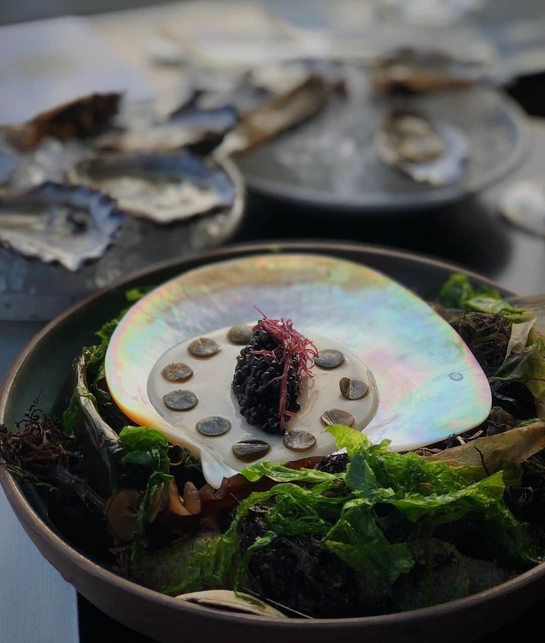 吉田朱里のインスタグラム：「Sturgeon Caviar • Macadamia Tofu • Mushroom Marinated Kelp • Pickled Funori •」