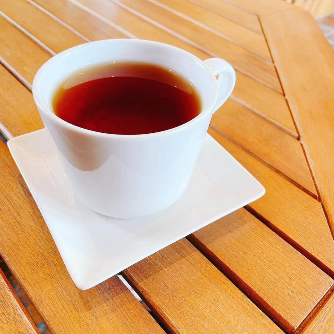 ヤマト（はやぶさ）のインスタグラム：「#はやぶさ #紅茶 #ひと休み」