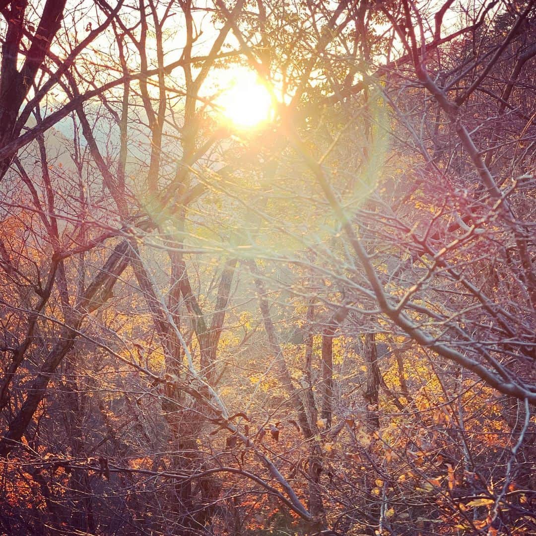 松田美由紀さんのインスタグラム写真 - (松田美由紀Instagram)「夕日の木漏れ日が、頬っぺたを染めた。」12月10日 10時12分 - matsudamiyuki