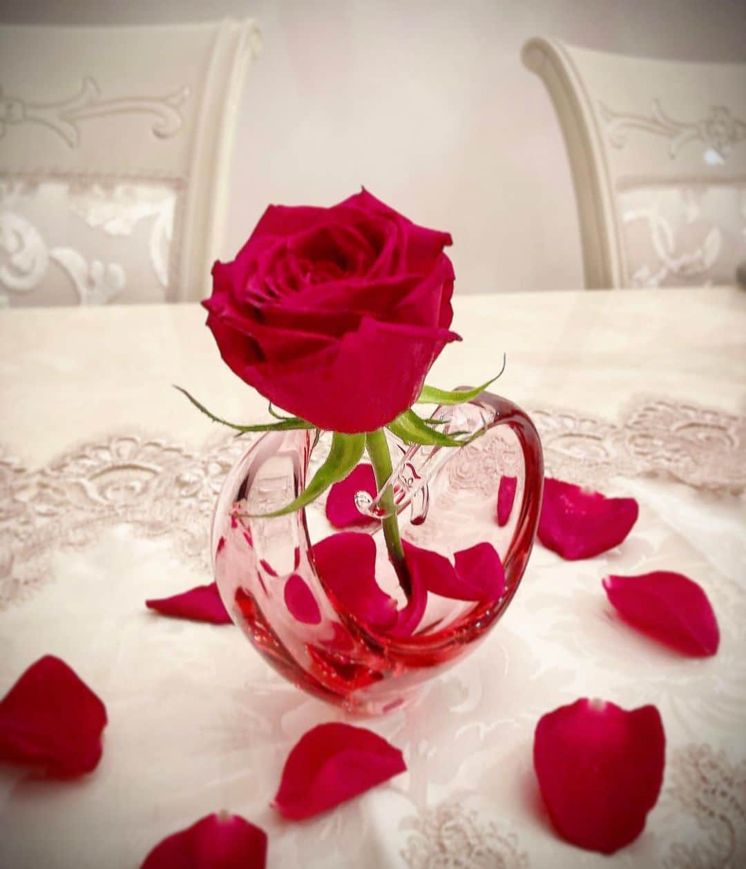 明星優花さんのインスタグラム写真 - (明星優花Instagram)「誕生日プレゼント🎁で、私が欲しかった絵を頂きました 😍 オリバーガルの絵🖼 すがはらさんの花瓶🌹 可愛くて、帰って直ぐに一