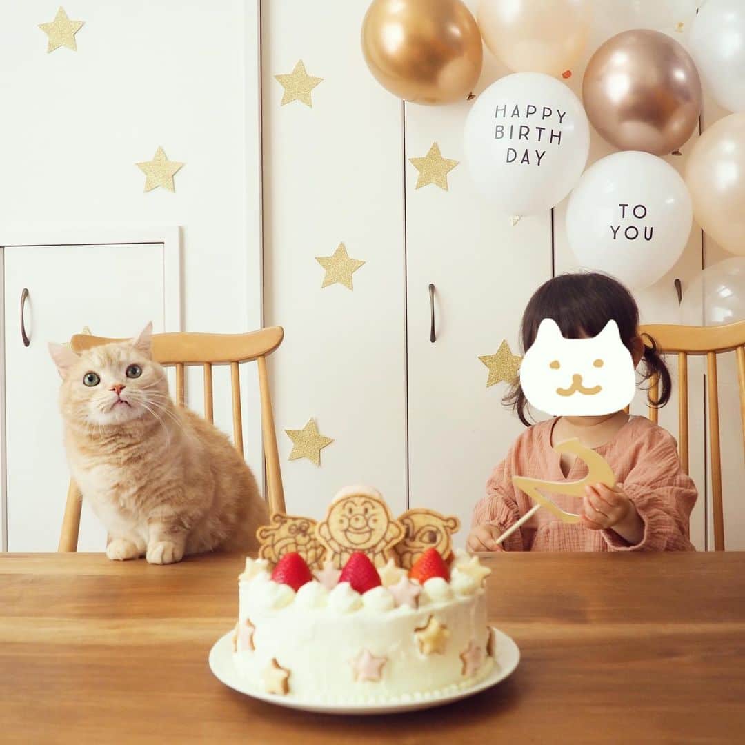 ぷーのインスタグラム：「先日妹があっという間に２歳になりました🎉 . ケーキを狙うハンターぷーちゃん…🐈（5枚目） . #2歳誕生日 #アンパンマンケーキ #娘とぷーちゃん🐈 .」