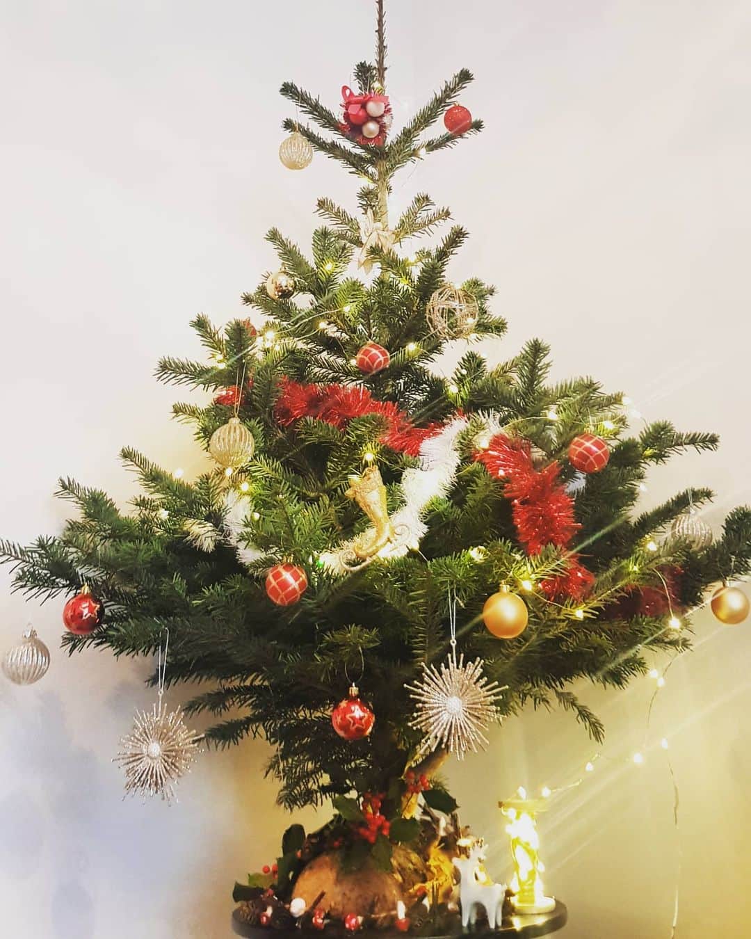 平井絵巳のインスタグラム：「🎅🏻2020年Xmasデコレーション🎄  今年のフランスのクリスマスはクリスマスマーケットもないので、少し寂しい感じなので、、お家のいたるところをクリスマスモードにしてみました🎁🎅🏻💕🎄⭐ 集めているスケート靴たちも、ちらほらー⛸️💕  #sapin#decoration#noel2020#france#lyon」