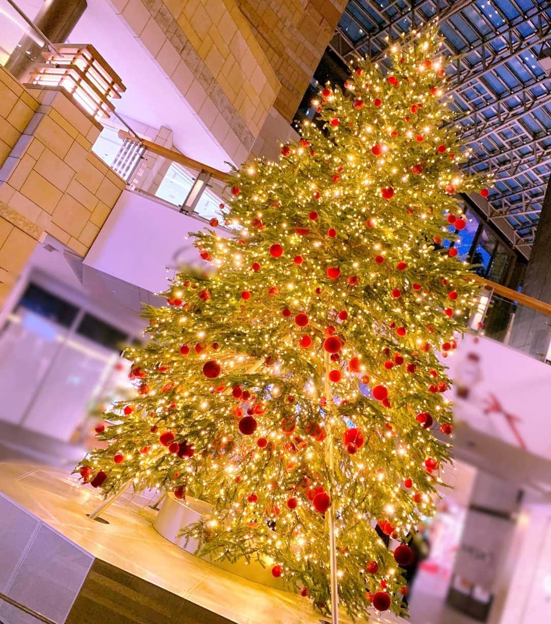 栗田萌のインスタグラム：「🎄Merry Christmas🎄 イブの夜はなんだかワクワクしちゃうな🎁  クリスマスは、ケンタ食べながら明石家サンタ観るのが一番の幸せ〜🥰💓 こればっかりは学生時代から変わらないし、変えられなーーい🤣🤣  #クリスマス #定番の過ごし方  素敵なクリスマスをお過ごしください❤️💚」