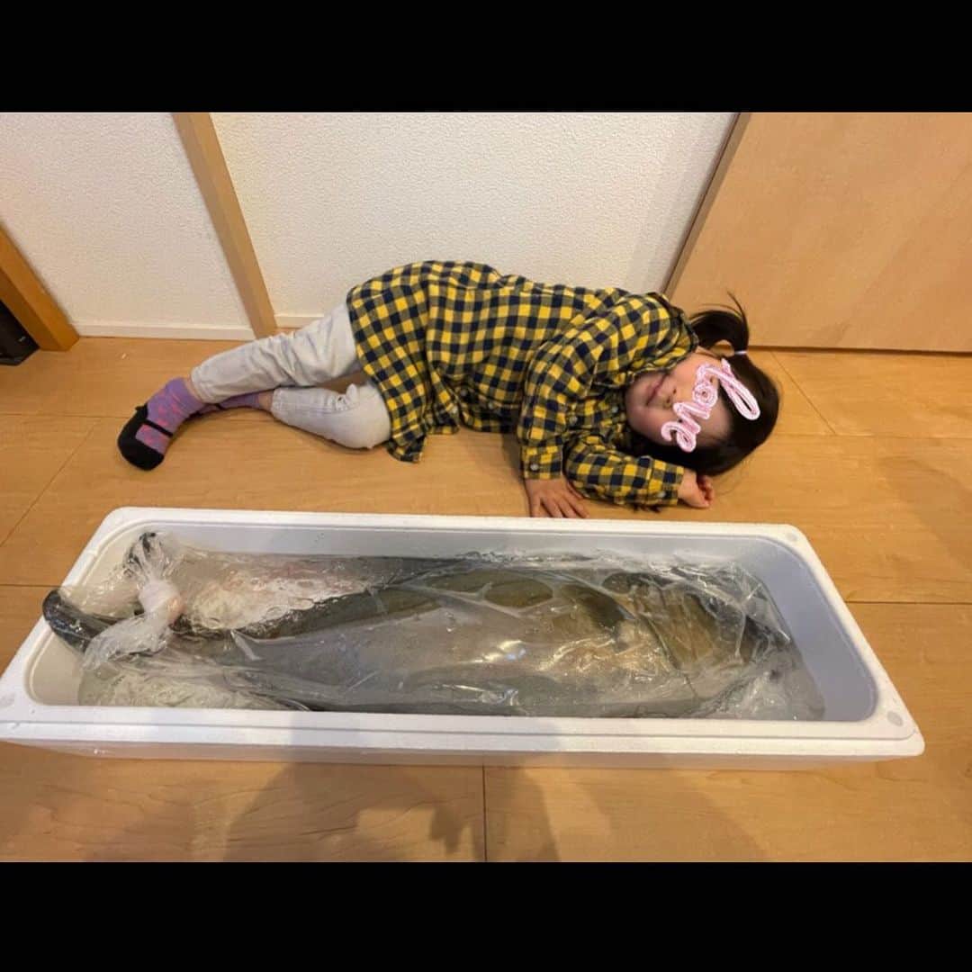 岩橋良昌のインスタグラム：「すごい魚届いた これをさばく嫁はんもすご」