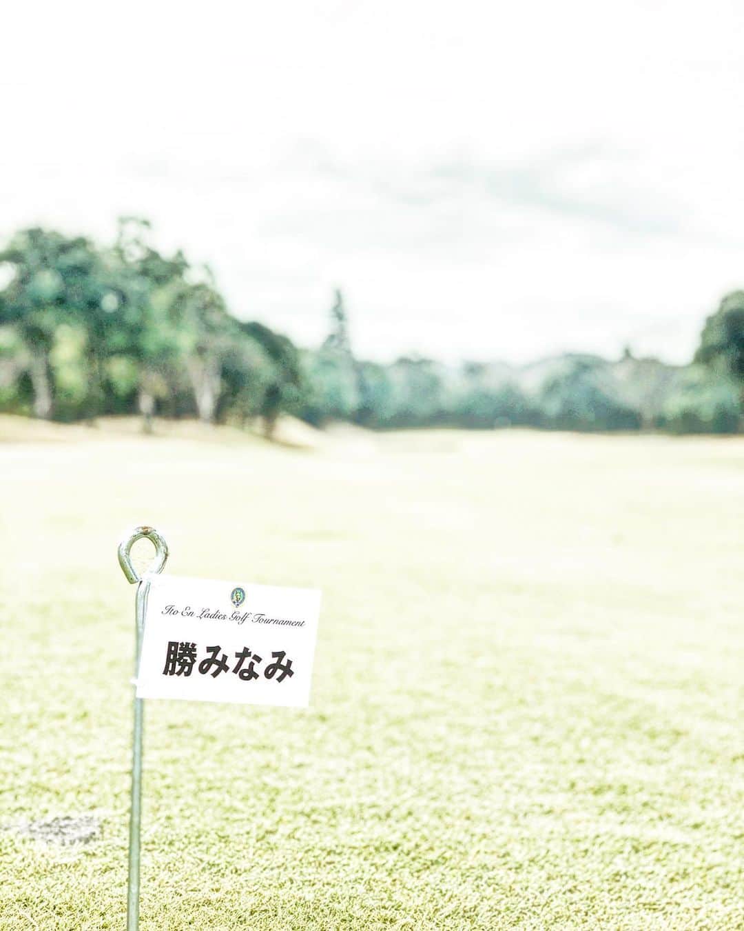 前田恭介さんのインスタグラム写真 - (前田恭介Instagram)「今年はゴルフのおかげでとても楽しい時間を過ごすことが出来ました。今年は30ラウンドしたので、来年はそれ以上を目指していこうと思います🏌️‍♂️ こちらの写真はドライバーで勝みなみより飛んだ時です(打つ場所がぼくのが全然前でしたが😆)」12月31日 18時47分 - kyosukemaeda