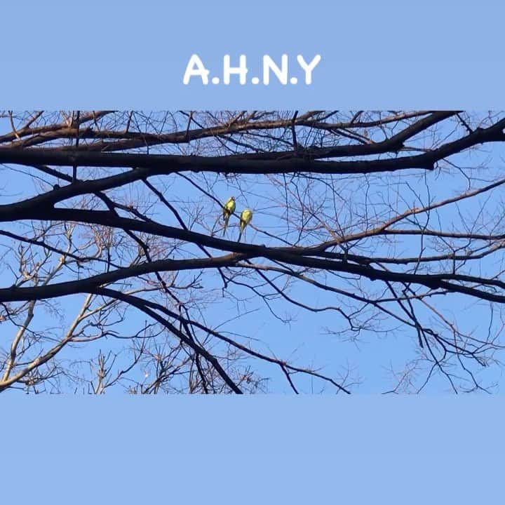 谷川正憲のインスタグラム：「A.H.N.Y  #2021」
