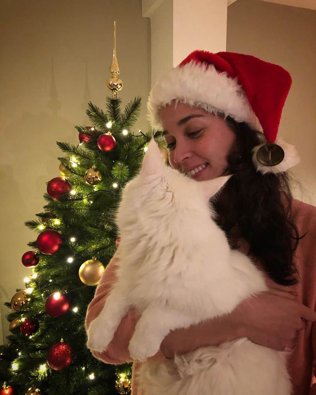 ラノミ・クロモウィジョジョのインスタグラム：「Voor t eerst in jaren hadden we een grote kerstboom in huis! Zo catproof mogelijk met plastic ballen en geen decoratie op ooghoogte van de kat 😹😹 Sunny en Musashi zijn braaf geweest, zowaar niks gesloopt!! @meancoons 😻 Tot wanneer staat de kerstboom jij jullie? #sunnywilwelhelpenaftuigen」