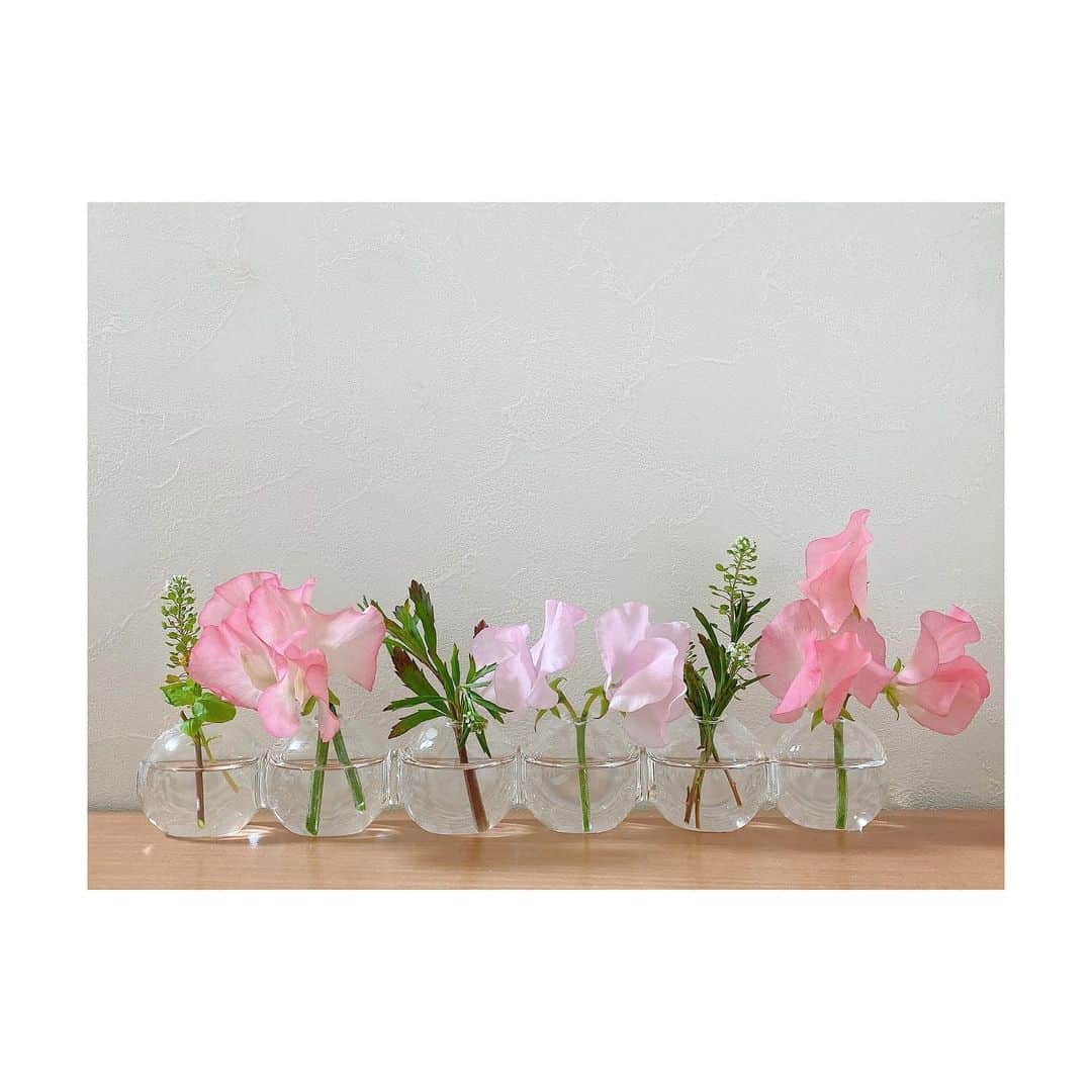 RINAさんのインスタグラム写真 - (RINAInstagram)「2月  スウィートピーは香りも良くて可憐で癒されます🥰 春も近いですね🍀  #お花のある暮らし  #スウィートピー」2月3日 21時57分 - rina__alia