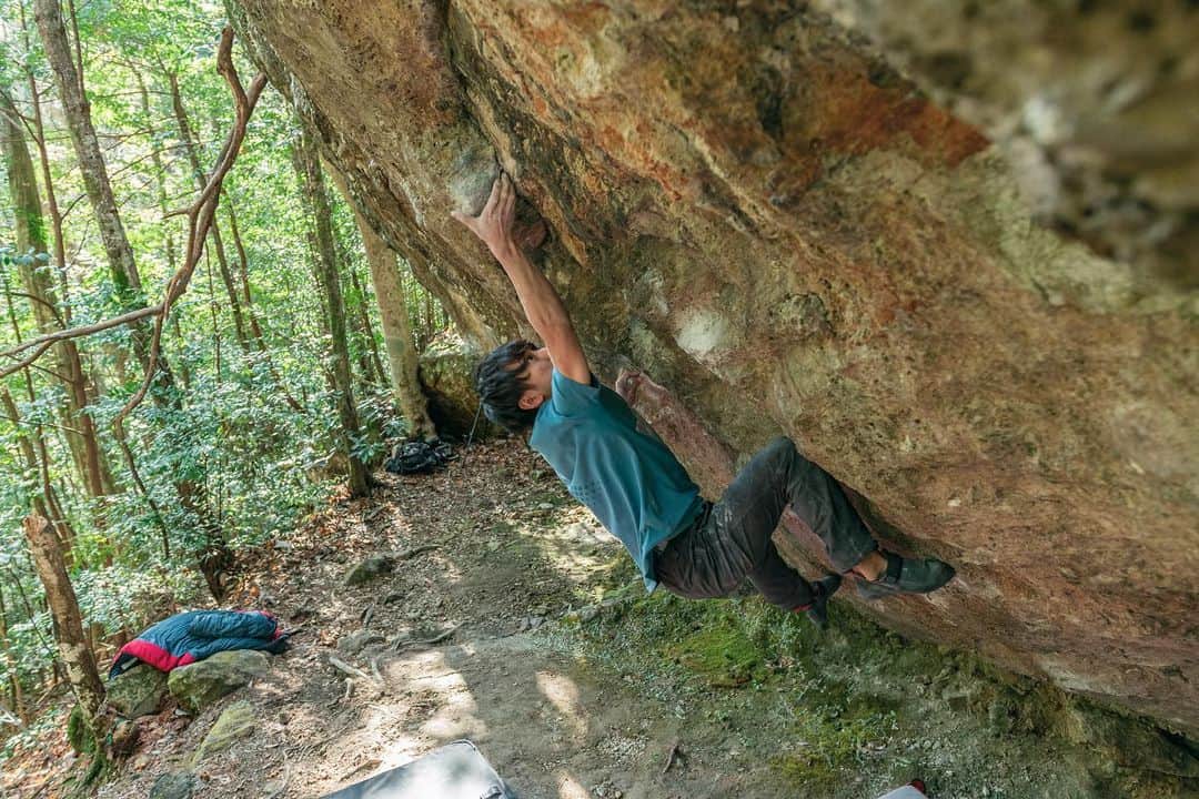 野村真一郎のインスタグラム：「Vanitas (8C/V15) ✔️ ______________________________________________________________  I sent the awesome route, which is vertical, and has straight line to the top🔝 Each holds positions seem simple ,but the route requires delicate footwork in fact. Recently I’ve been training for “Off the wagon”, in Switzerland. In other words, I mainly practice dynamic moves, so I had a little anxious about static moves, however I can apply techniques of dynamic moves, such as using finger, abdomen, and back muscles to shift the balance, to the static movement. Although this sending convinces me that my climbing tech are improving, it’s not strong enough i think. I’ve climbed “Byakudo”, “Mona Lisa”, “Vanitas”, so there’s one route I left, “Hallucination” in Hourai area!! ______________________________________________________________  ヴァニタス(5段+) ✔️ 最近は、当面の目標であるOff the wagonを登るために遠いムーブに対応出来るトレーニングがメインだったためスタティックな動きには少し不安がありましたが、リーチを出す為の指や腹、背中を使った繊細な重心移動をスタティックにも応用する事が出来ました。そのおかげで、どのムーブもあまり強度を感じる事なく動けた。 なかなか岩に行くタイミングが見つけられない中で、確実に成果を残す事が出来て嬉しい！ やっぱり最近編み出したセット中に出来るトレーニングがかなり効いてるっぽい。  白道、モナリザ、ヴァニタスが登れ、鳳来で残すはハルシネーション。 ハルシネーションに関しては、今回も少し触りに行ったけどやばすぎてまだ全く出来る気がしません。笑  早くまたスイスに行きたいなぁ。 ______________________________________________________________  📸: @ryu____1  @rokdo_team @unparallelup @rockmasterhq @monturajapan @montura_official @hamasakichiryoin0929 @clover_resole」