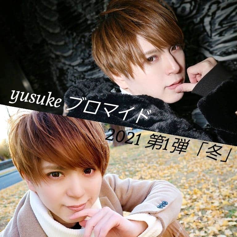 Yusukeのインスタグラム：「yusukeブロマイド2021第1弾『冬』発売開始！﻿ 去年の5月ぶりに、ようやく発売することができました！﻿手に入れてくれると嬉しいです✨﻿ 特典もあります😌﻿ ﻿ yusuke online shopにて発売！﻿ プロフィールの「yusukeオフィシャル」から飛べます☺️ ﻿ #heroyusuke﻿ #ブロマイド ﻿ #写真﻿ #撮影﻿ #イチョウ﻿ #夜の撮影」